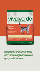 Kit Areia Viva Verde Biodegradável - Grãos Grossos (Nova Embalagem) - Super Premium para gatos 20kg